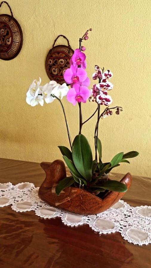Casamar Maragogi Residence エクステリア 写真