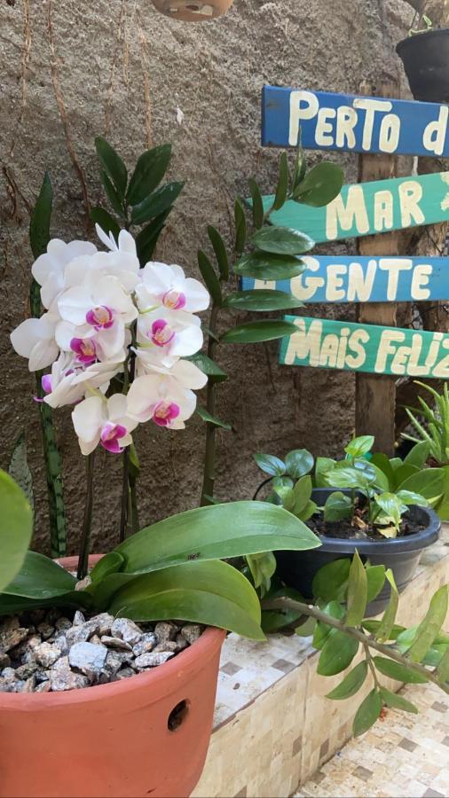 Casamar Maragogi Residence エクステリア 写真